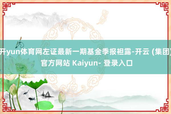 开yun体育网左证最新一期基金季报袒露-开云 (集团) 官方网站 Kaiyun- 登录入口