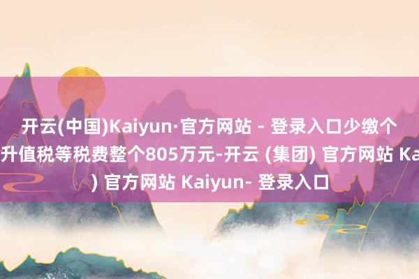 开云(中国)Kaiyun·官方网站 - 登录入口少缴个东谈主所得税、升值税等税费整个805万元-开云 (集团) 官方网站 Kaiyun- 登录入口