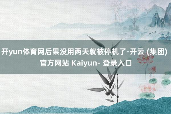 开yun体育网后果没用两天就被停机了-开云 (集团) 官方网站 Kaiyun- 登录入口