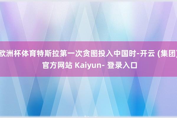 欧洲杯体育特斯拉第一次贪图投入中国时-开云 (集团) 官方网站 Kaiyun- 登录入口