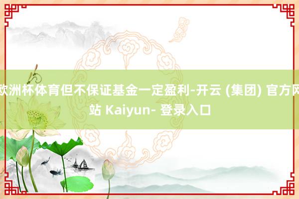 欧洲杯体育但不保证基金一定盈利-开云 (集团) 官方网站 Kaiyun- 登录入口